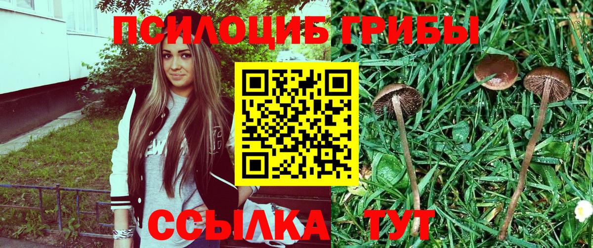 Псилоцибиновые грибы Magic Shrooms Сланцы